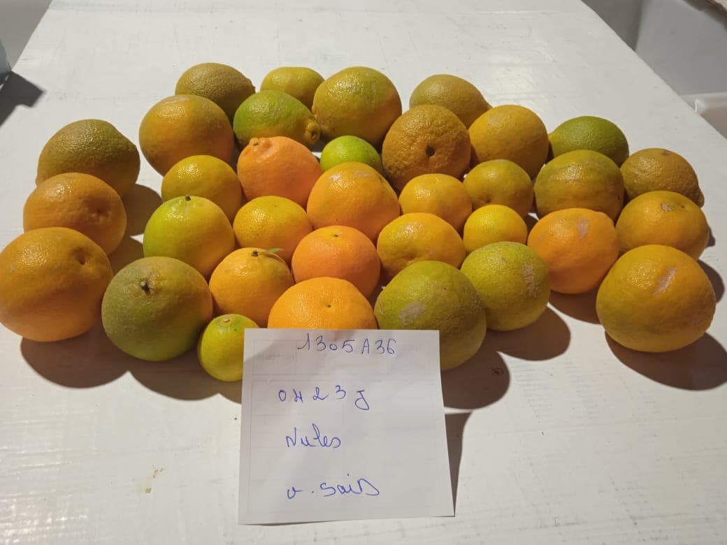 Recherche agricole et innovation en filière fruits et légumes