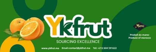 Cartons & Wood export premium — agrumes conditionnés YKfrut